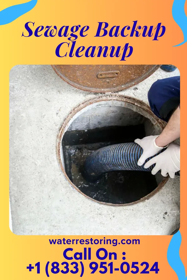 Sewage Backup Cleanup in Lookeba, OK